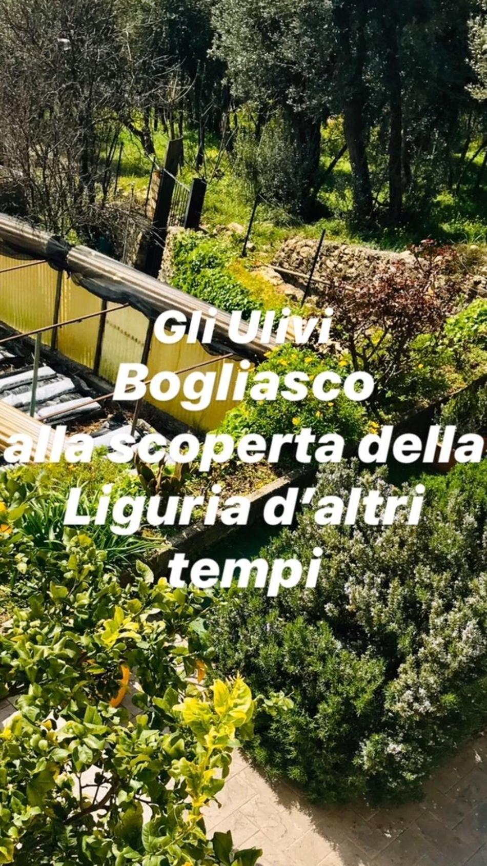 Willa Cav Gli Ulivi Di Bogliasco Zewnętrze zdjęcie