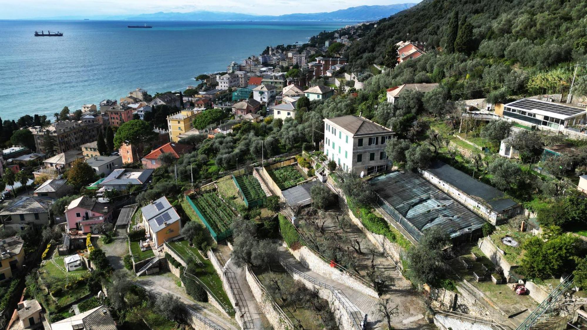 Willa Cav Gli Ulivi Di Bogliasco Zewnętrze zdjęcie